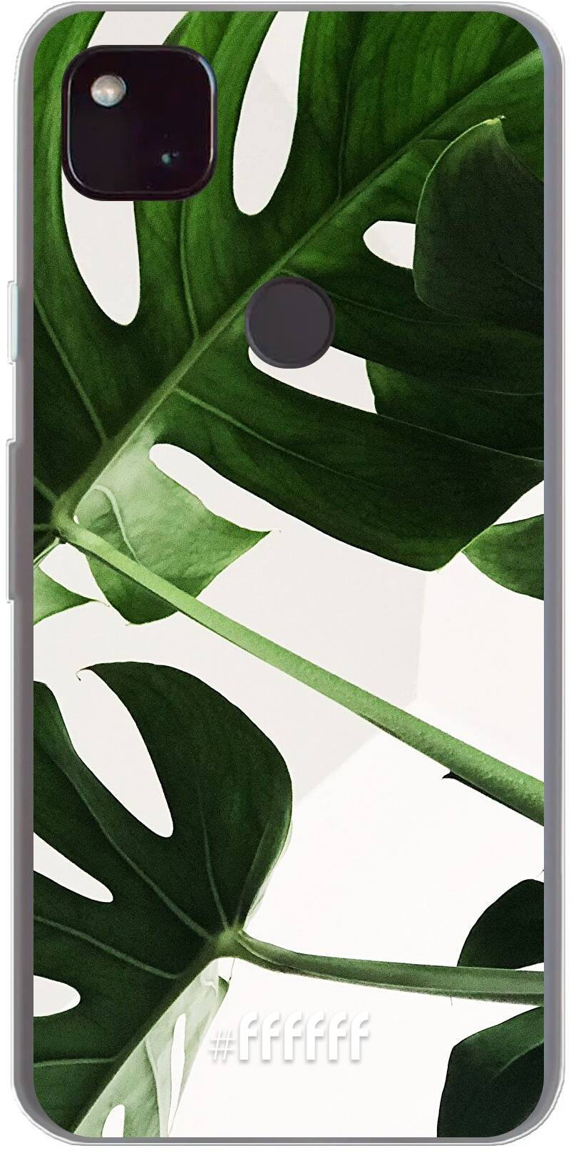 Tropical Plants Pixel 4a 5G