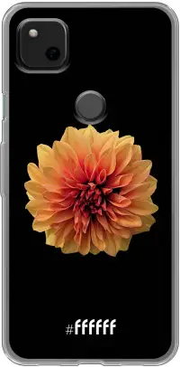 Butterscotch Blossom Pixel 4a