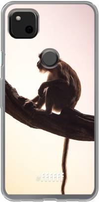 Macaque Pixel 4a