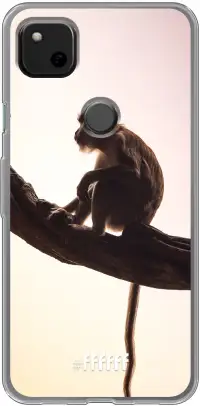 Macaque Pixel 4a