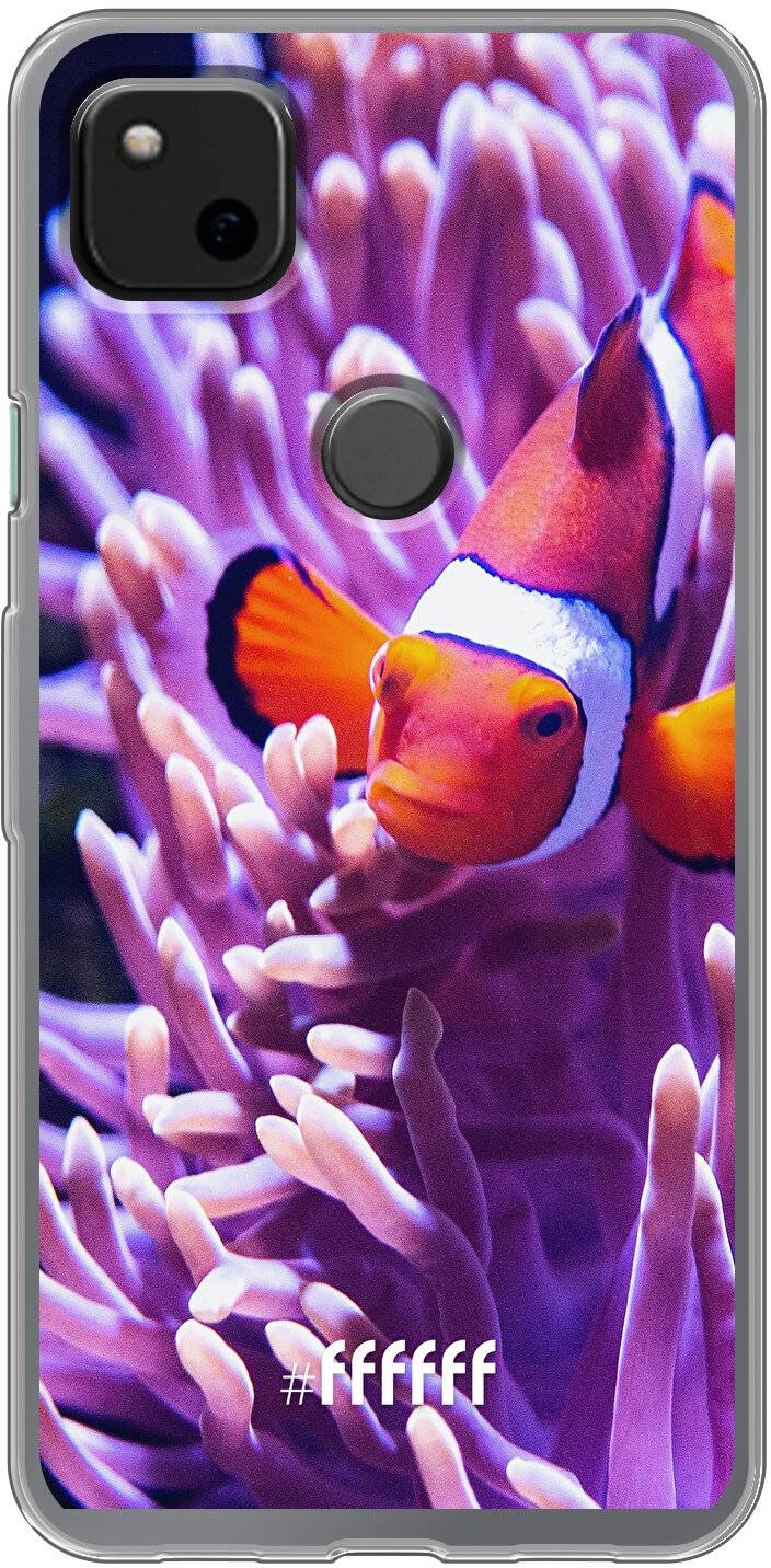Nemo Pixel 4a