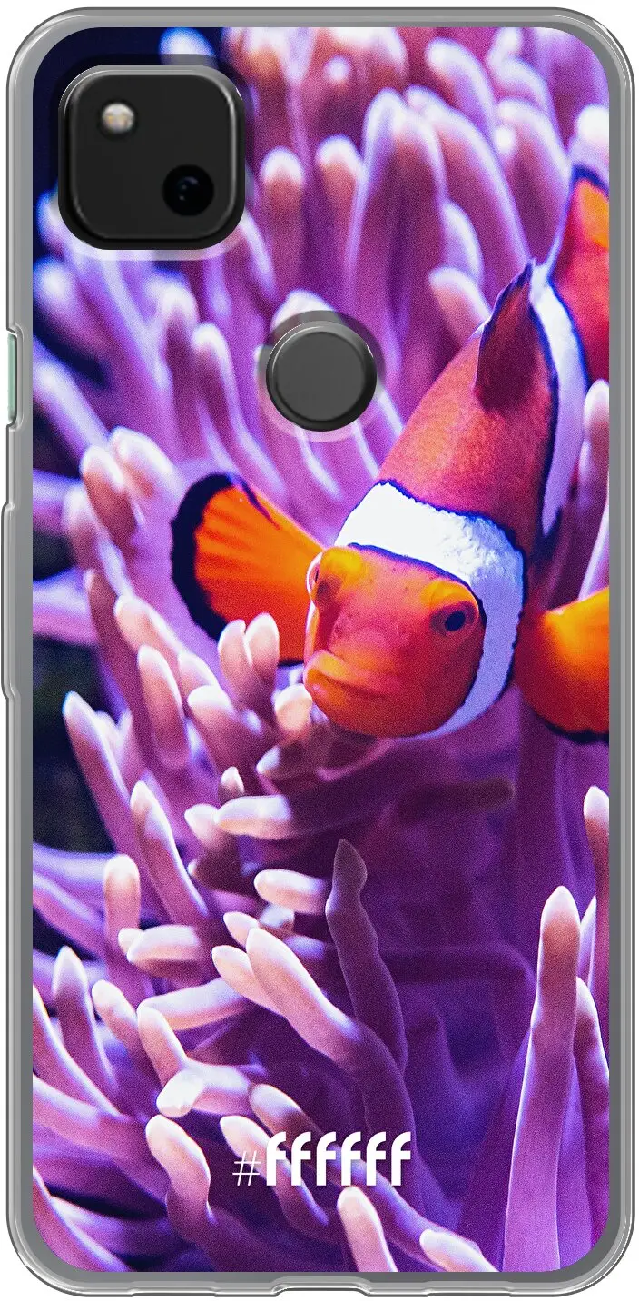 Nemo Pixel 4a