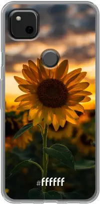 Sunset Sunflower Pixel 4a