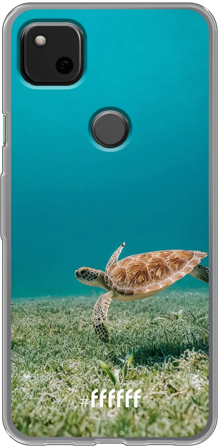 Turtle Pixel 4a