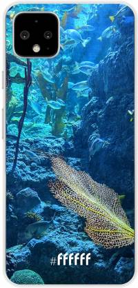 Coral Reef Pixel 4 XL