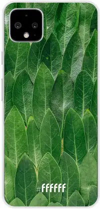 Green Scales Pixel 4 XL