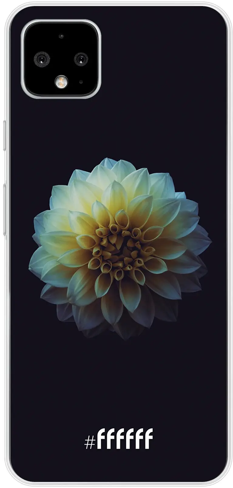 Just a Perfect Flower Pixel 4 XL