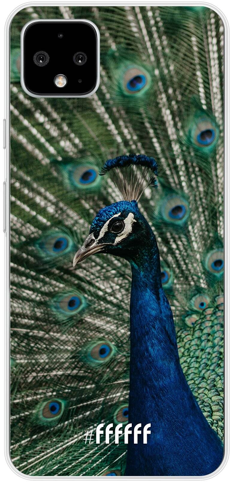Peacock Pixel 4 XL
