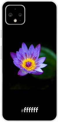 Purple Flower in the Dark Pixel 4 XL