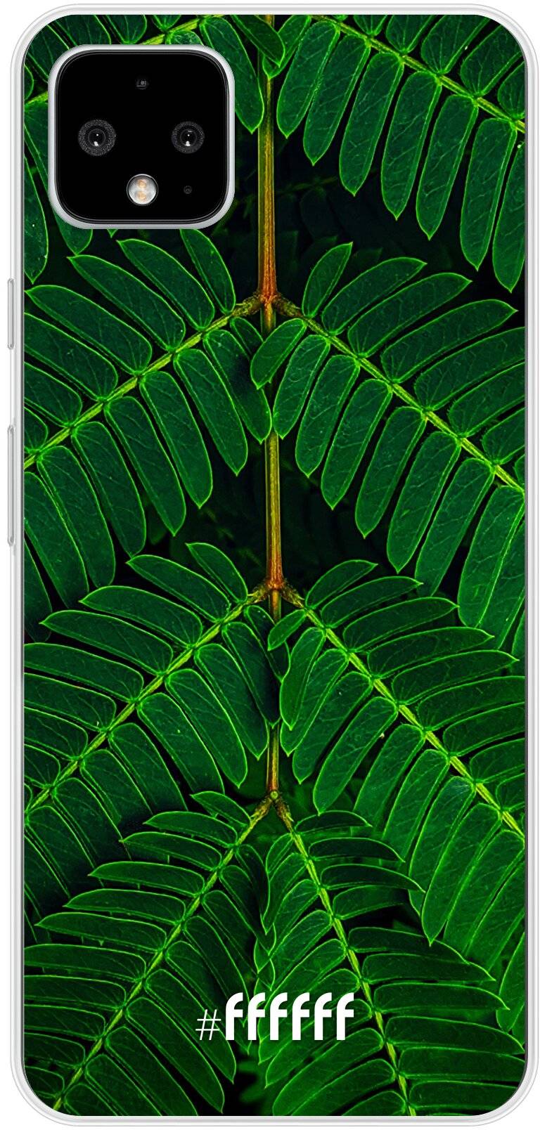 Symmetric Plants Pixel 4 XL