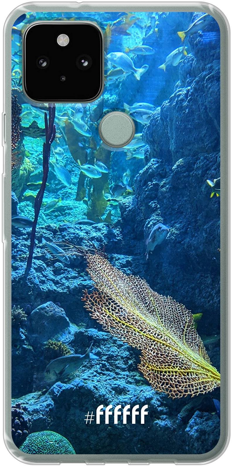 Coral Reef Pixel 5