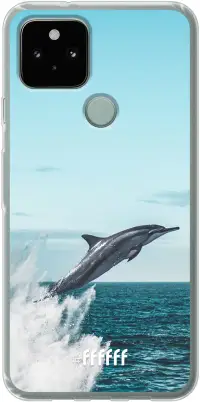 Dolphin Pixel 5