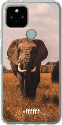 Elephants Pixel 5