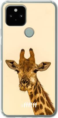 Giraffe Pixel 5