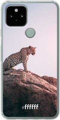 Leopard Pixel 5