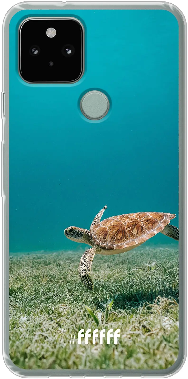 Turtle Pixel 5