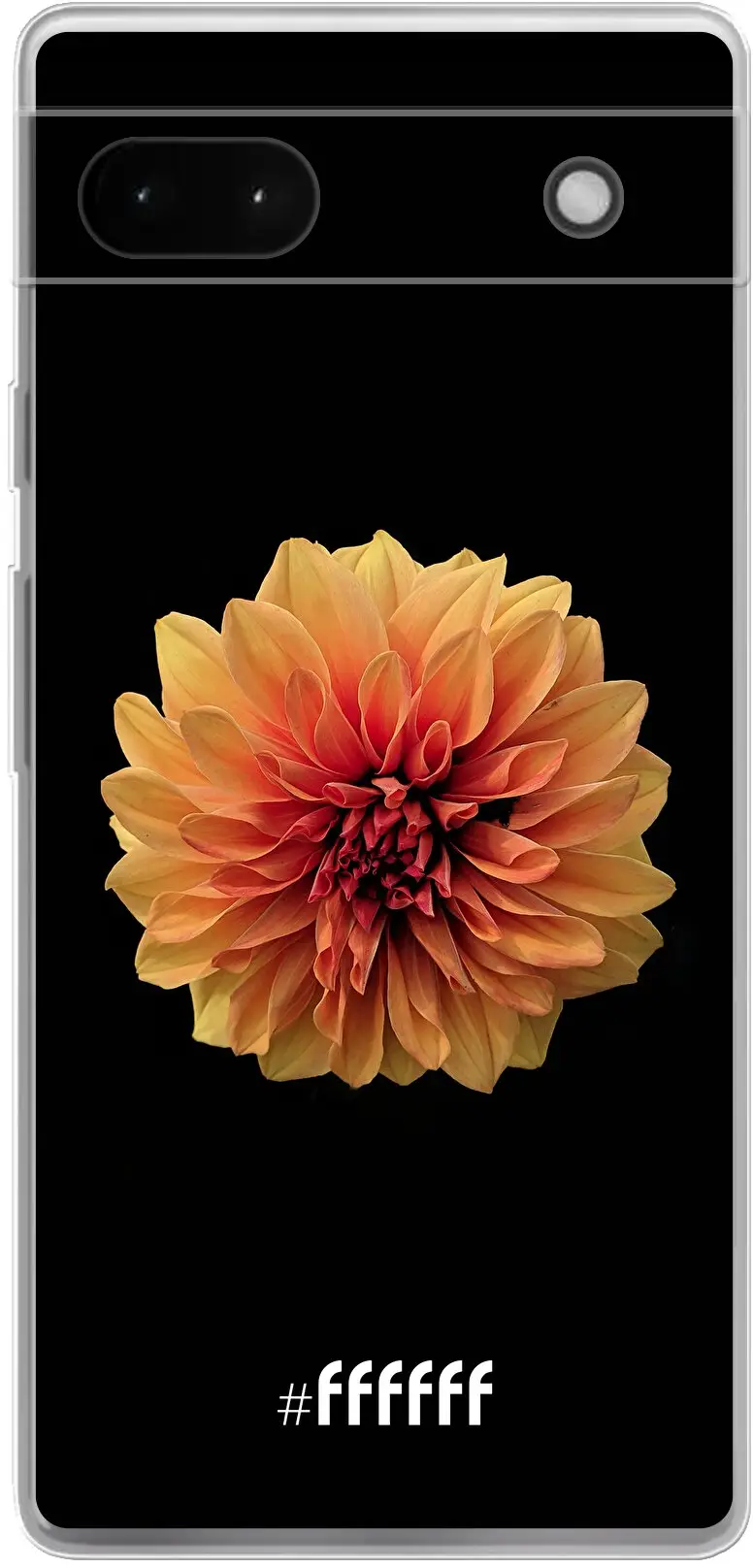 Butterscotch Blossom Pixel 6A