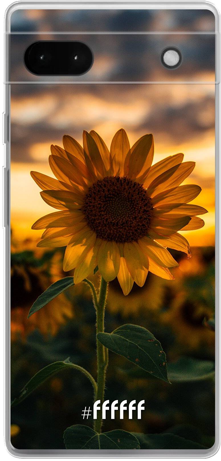 Sunset Sunflower Pixel 6A