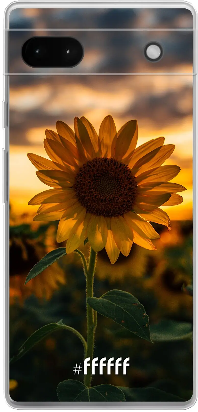 Sunset Sunflower Pixel 6A