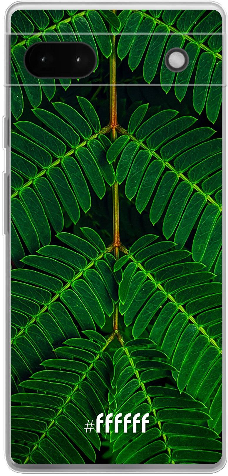 Symmetric Plants Pixel 6A