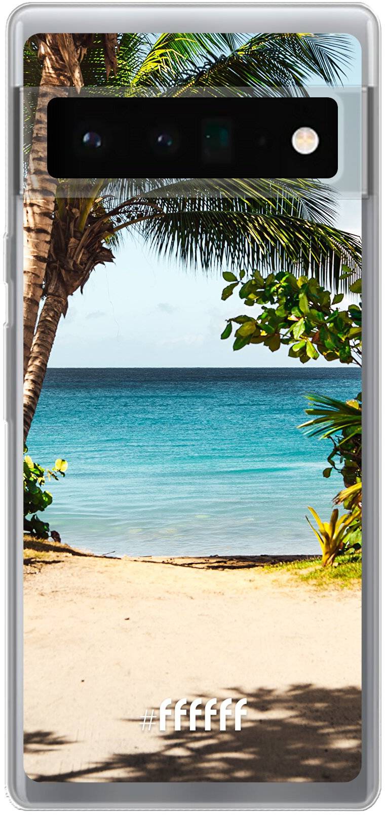 Coconut View Pixel 6 Pro