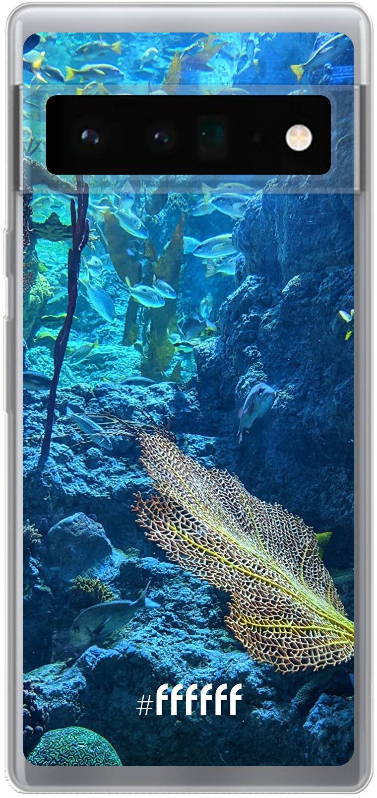 Coral Reef Pixel 6 Pro