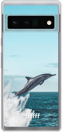 Dolphin Pixel 6 Pro