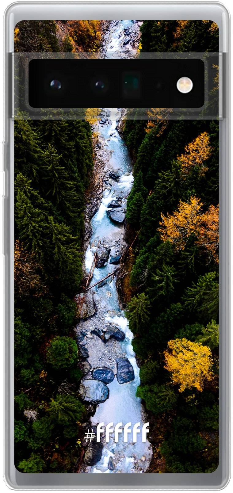 Forest River Pixel 6 Pro