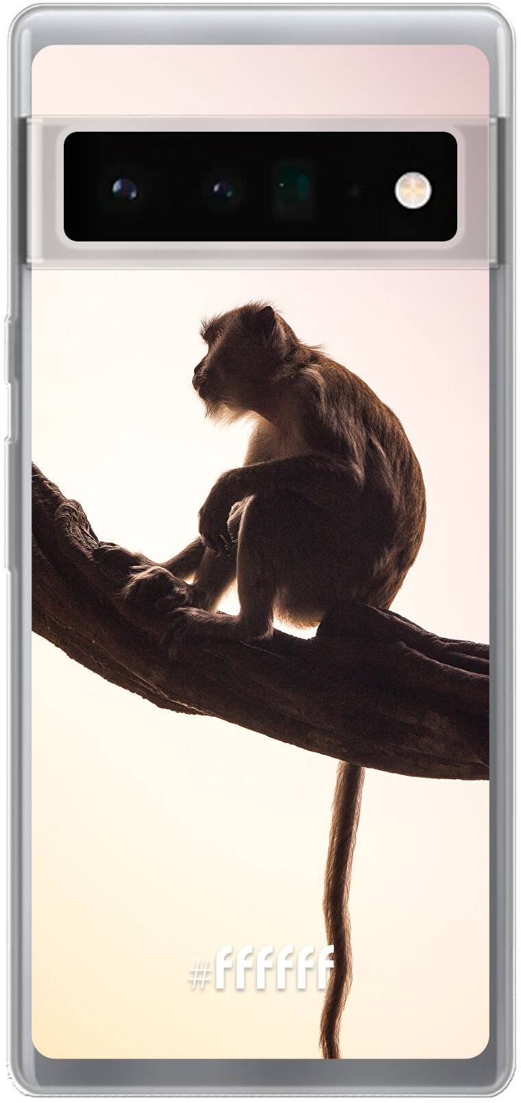 Macaque Pixel 6 Pro