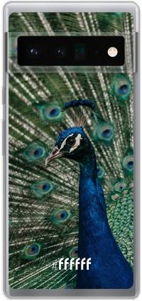 Peacock Pixel 6 Pro