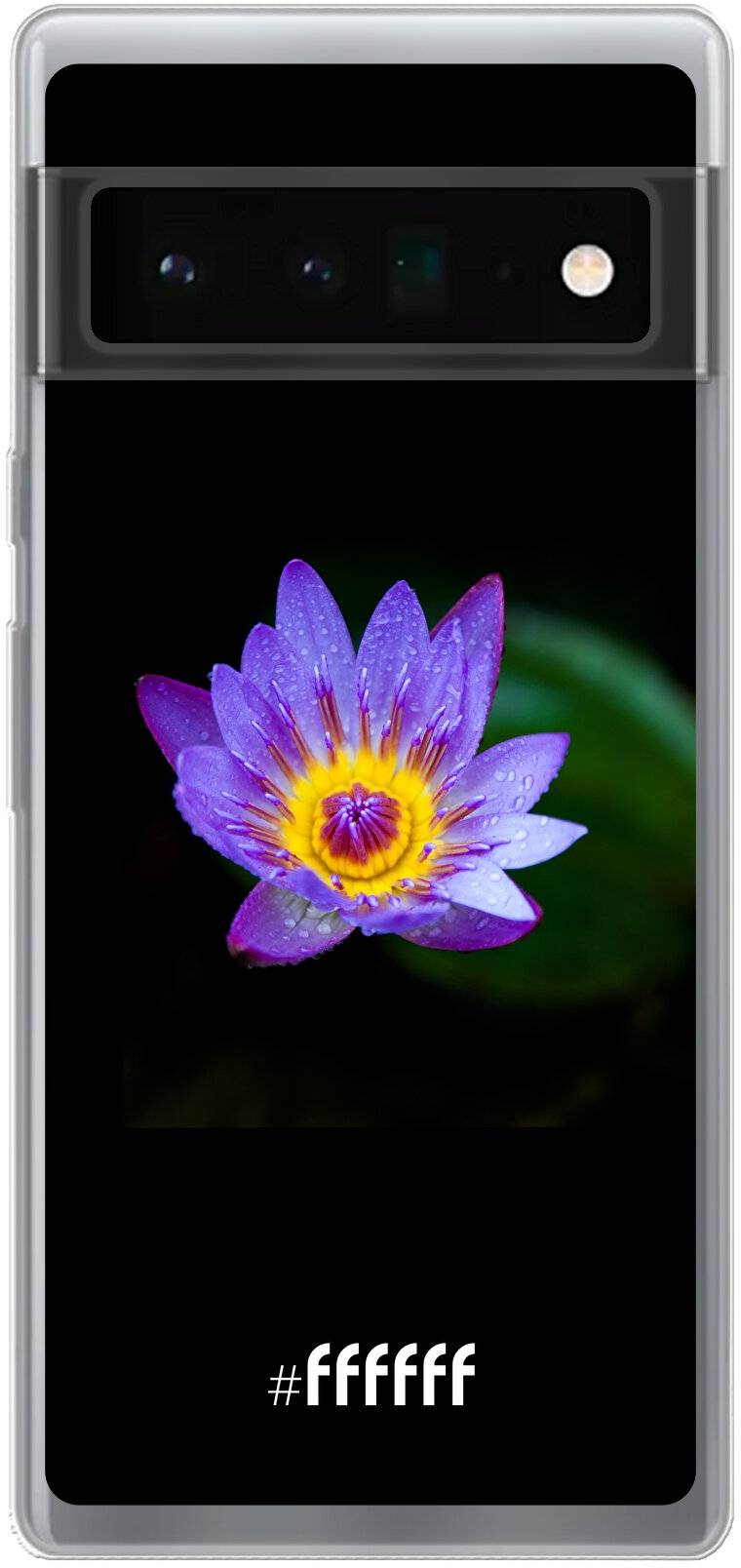 Purple Flower in the Dark Pixel 6 Pro