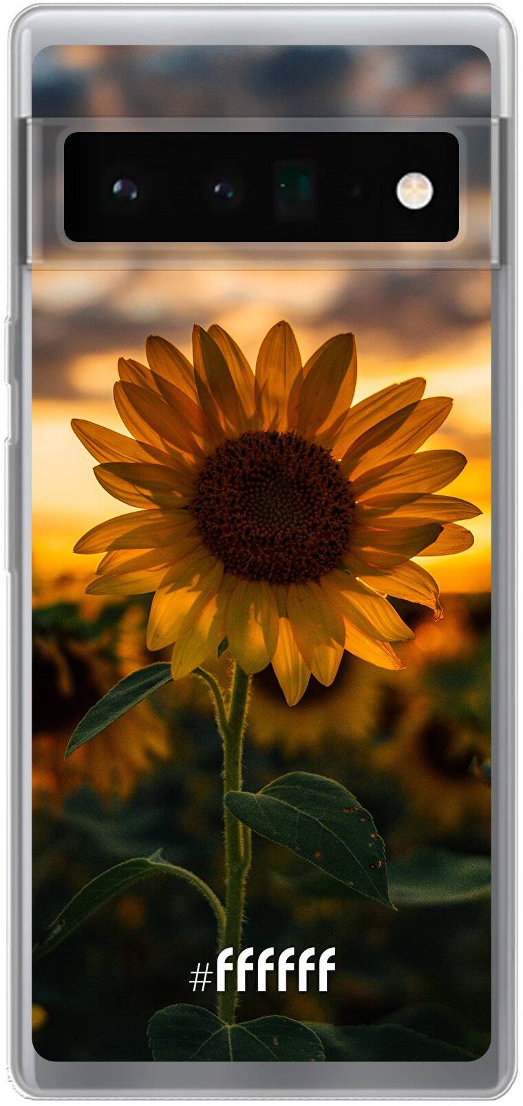 Sunset Sunflower Pixel 6 Pro
