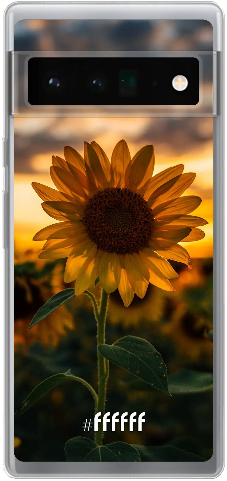 Sunset Sunflower Pixel 6 Pro