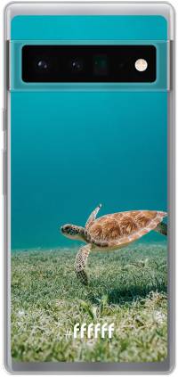 Turtle Pixel 6 Pro