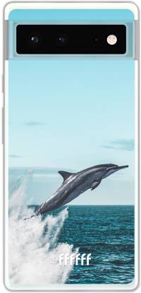 Dolphin Pixel 6