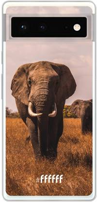 Elephants Pixel 6