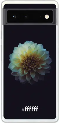 Just a Perfect Flower Pixel 6