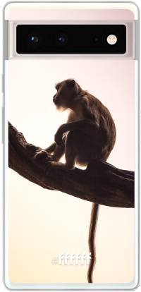 Macaque Pixel 6