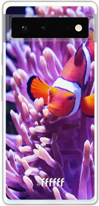 Nemo Pixel 6