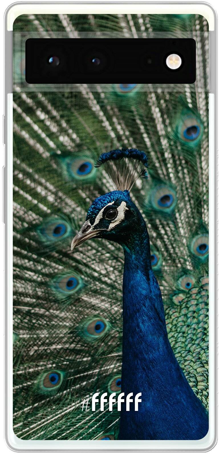 Peacock Pixel 6