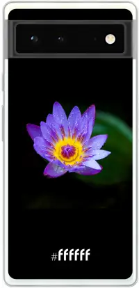 Purple Flower in the Dark Pixel 6