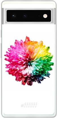 Rainbow Pompon Pixel 6