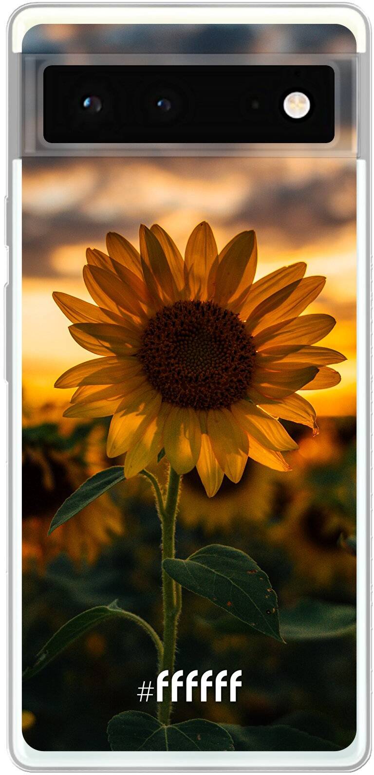 Sunset Sunflower Pixel 6