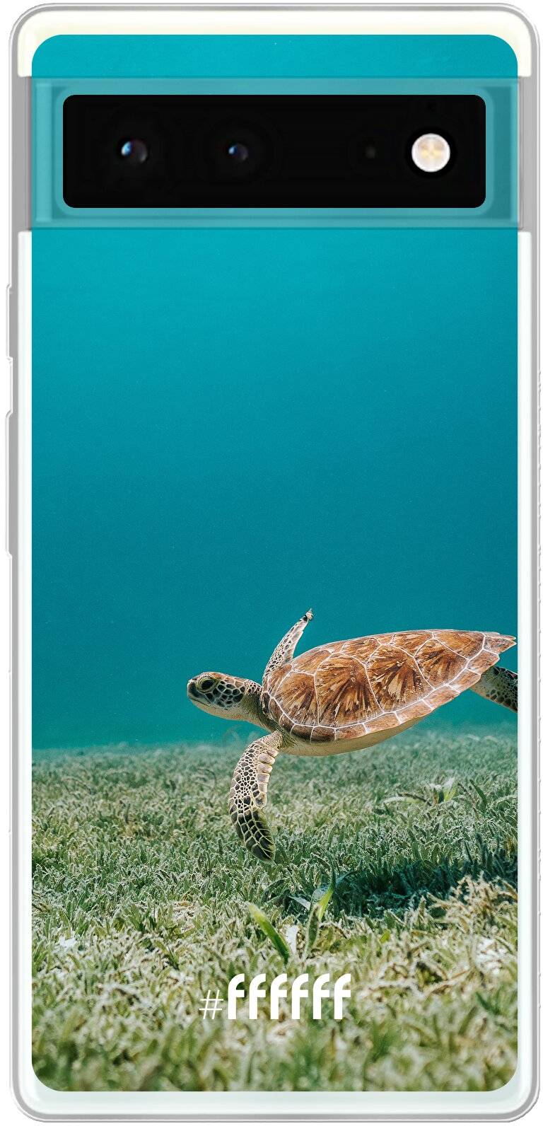 Turtle Pixel 6