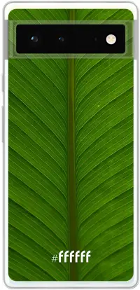 Unseen Green Pixel 6