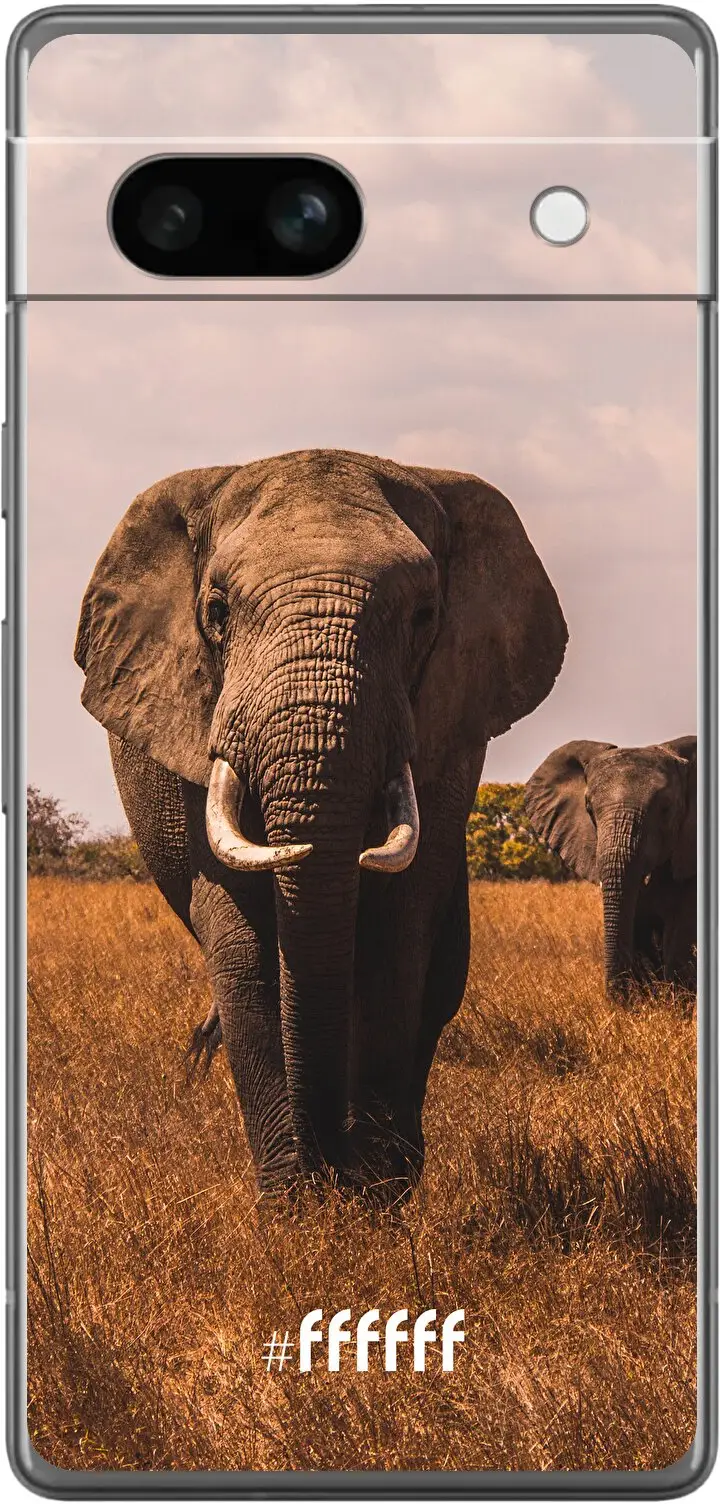 Elephants Pixel 7a