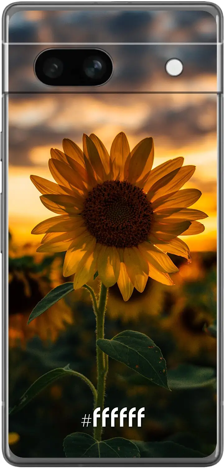 Sunset Sunflower Pixel 7a