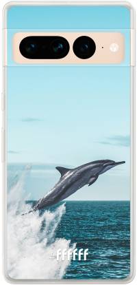Dolphin Pixel 7 Pro