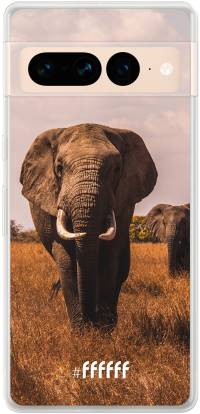 Elephants Pixel 7 Pro