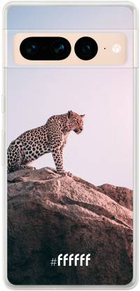 Leopard Pixel 7 Pro